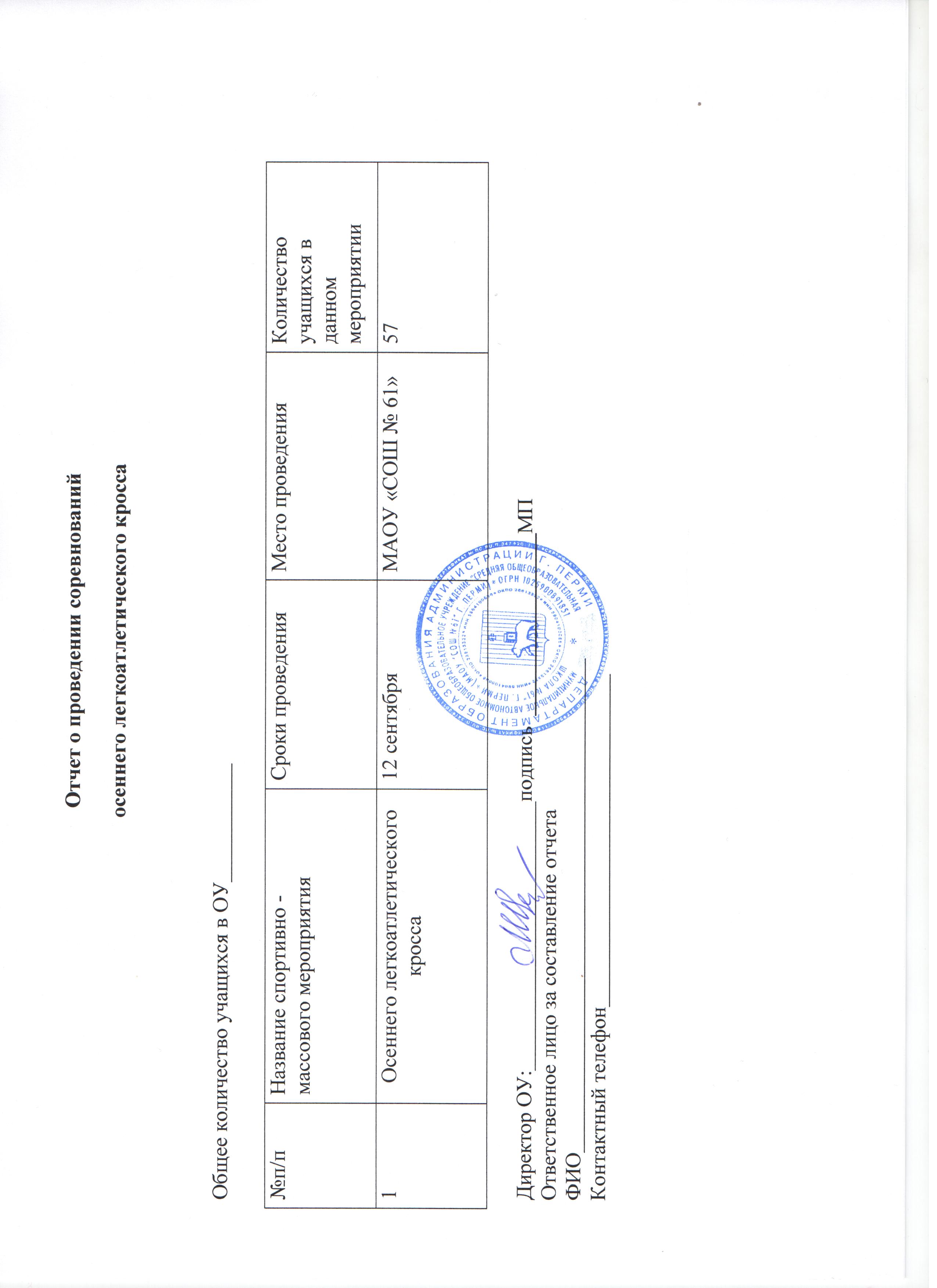 Отчет о проведении соревнований по футболу образец